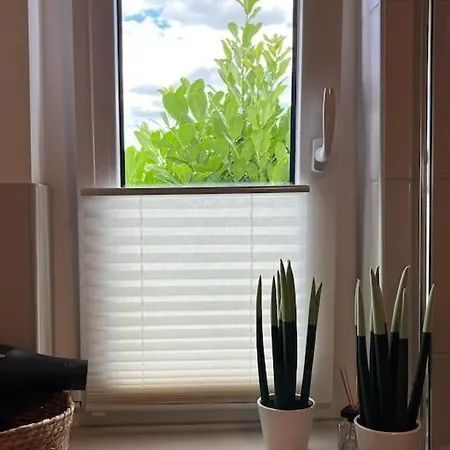 Buechensaal Mit Stellplatz 公寓 埃伦塞