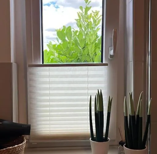 Buechensaal Mit Stellplatz 公寓 埃伦塞